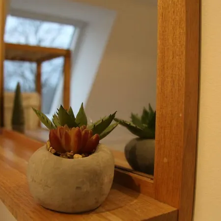 公寓 Baltic Living 蒂门多弗施特兰德